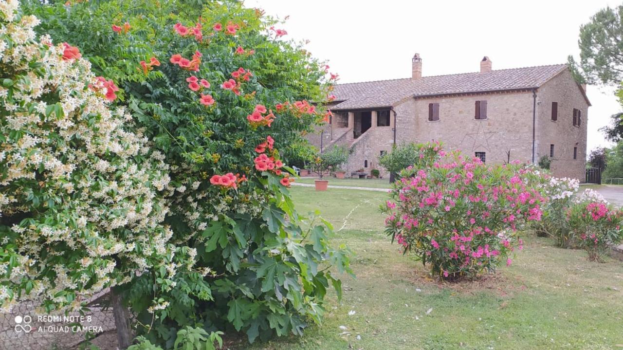 Agriturismo Podere Luchiano Amelia Exteriör bild