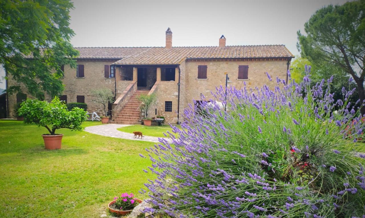 Agriturismo Podere Luchiano Amelia Exteriör bild