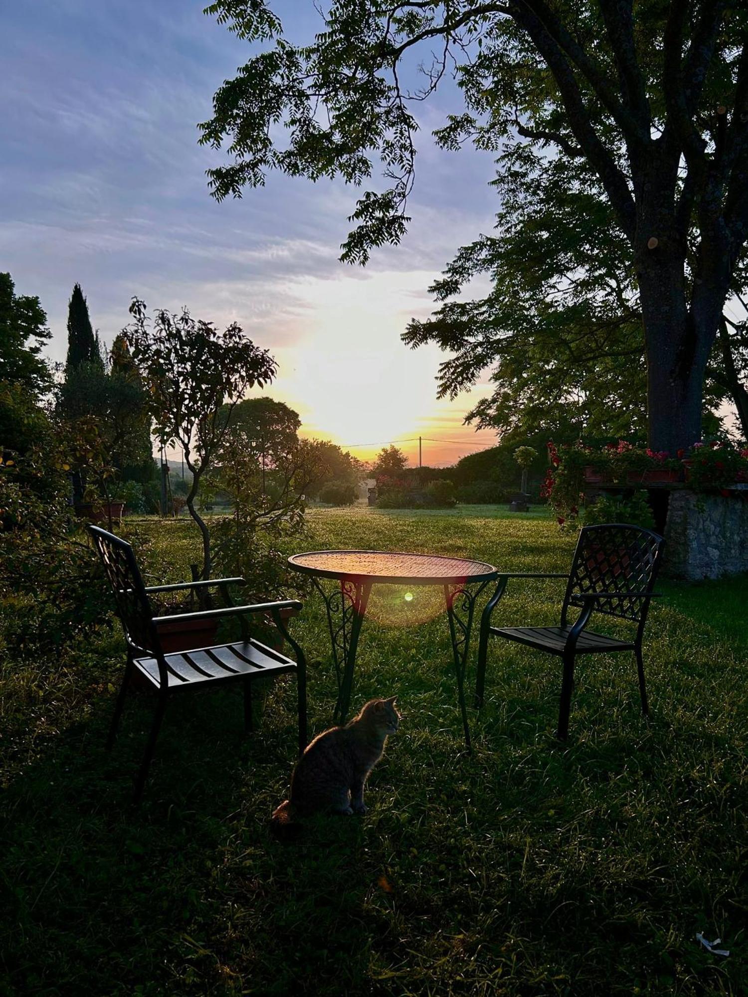 Agriturismo Podere Luchiano Amelia Exteriör bild