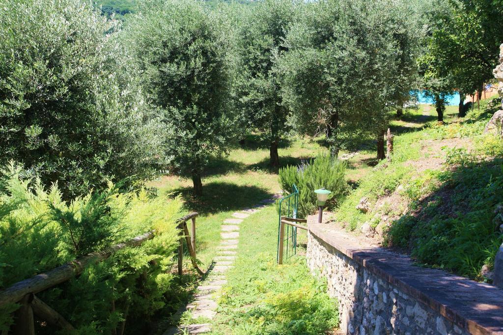 Agriturismo Podere Luchiano Amelia Exteriör bild