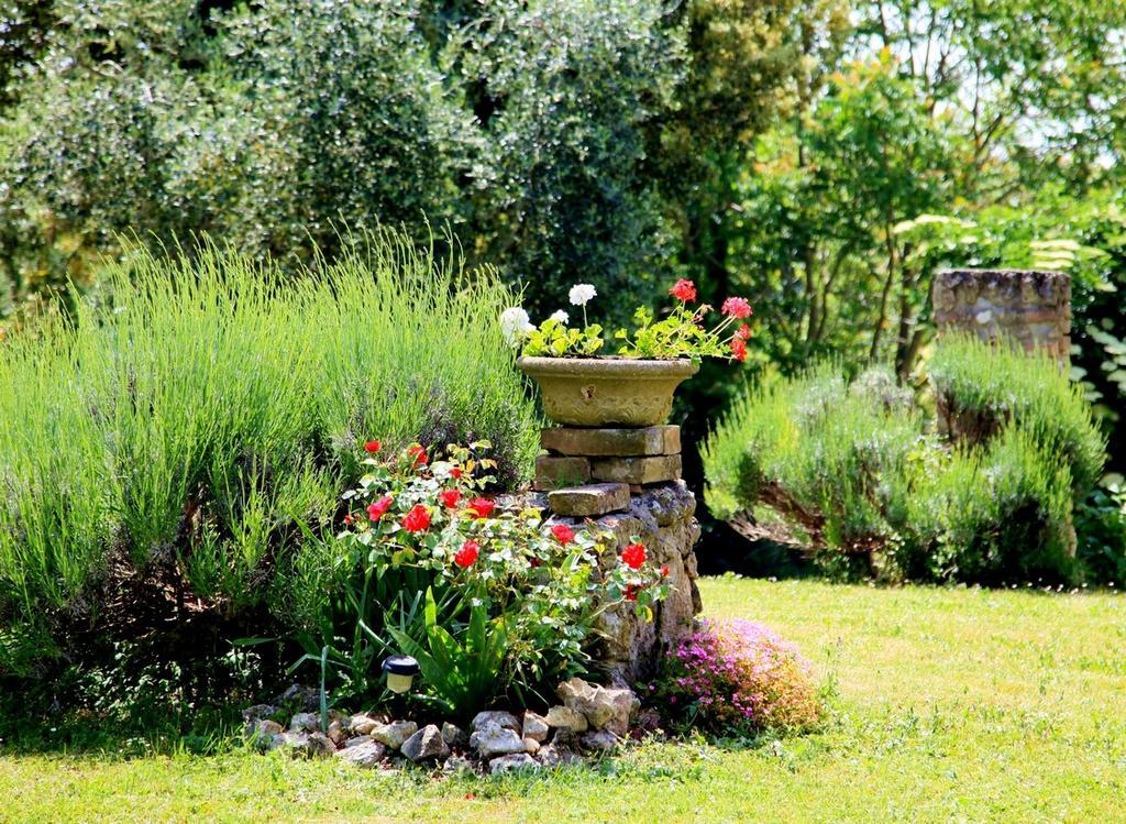 Agriturismo Podere Luchiano Amelia Exteriör bild