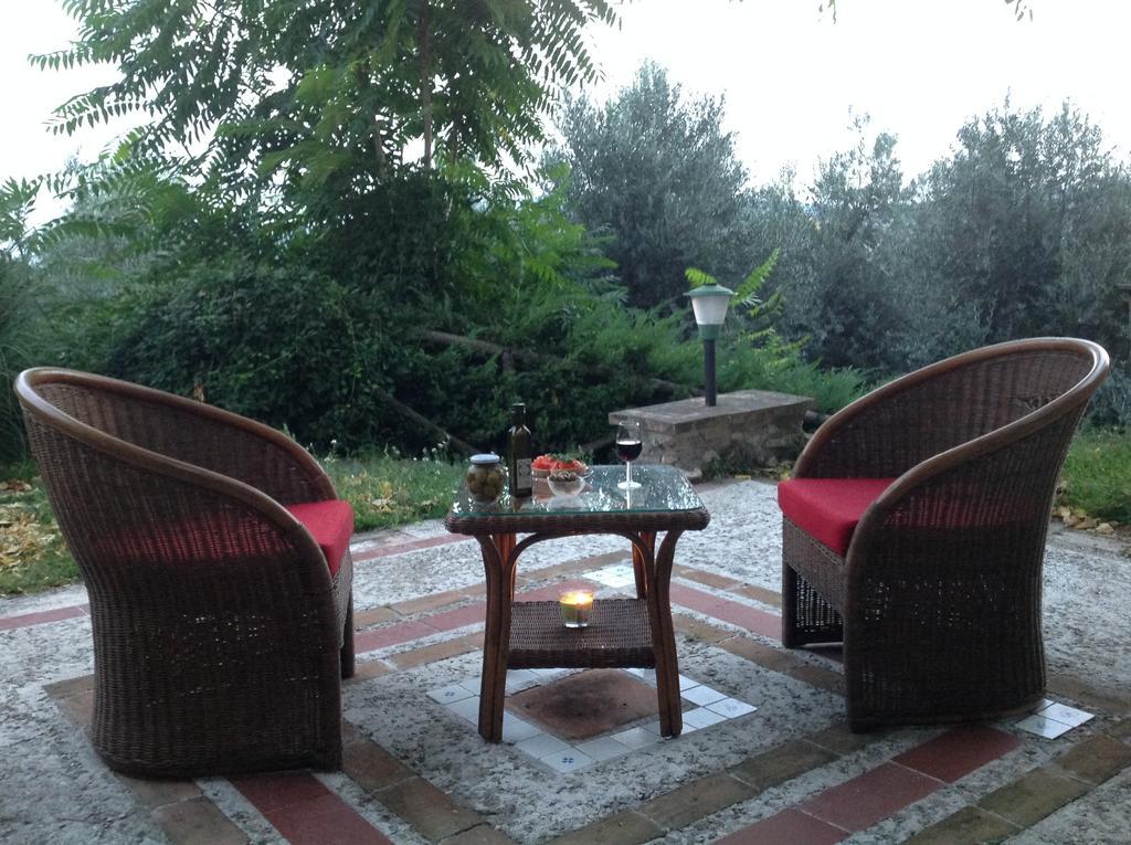 Agriturismo Podere Luchiano Amelia Exteriör bild
