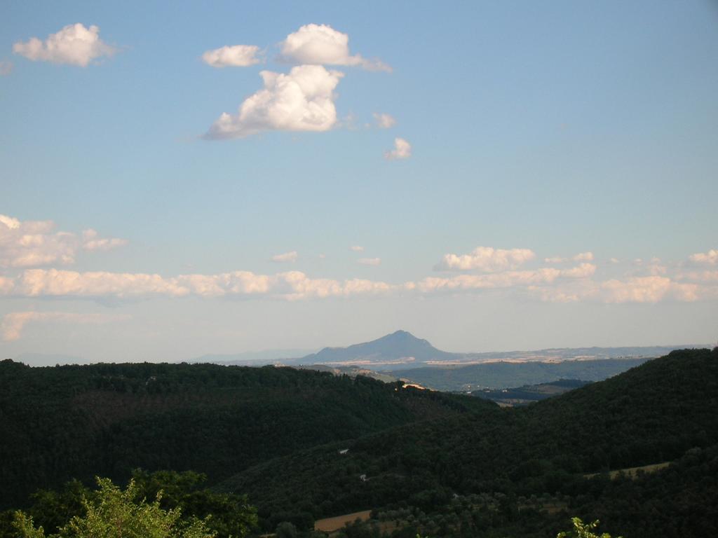 Agriturismo Podere Luchiano Amelia Exteriör bild