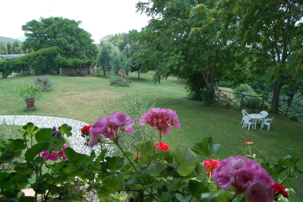 Agriturismo Podere Luchiano Amelia Exteriör bild