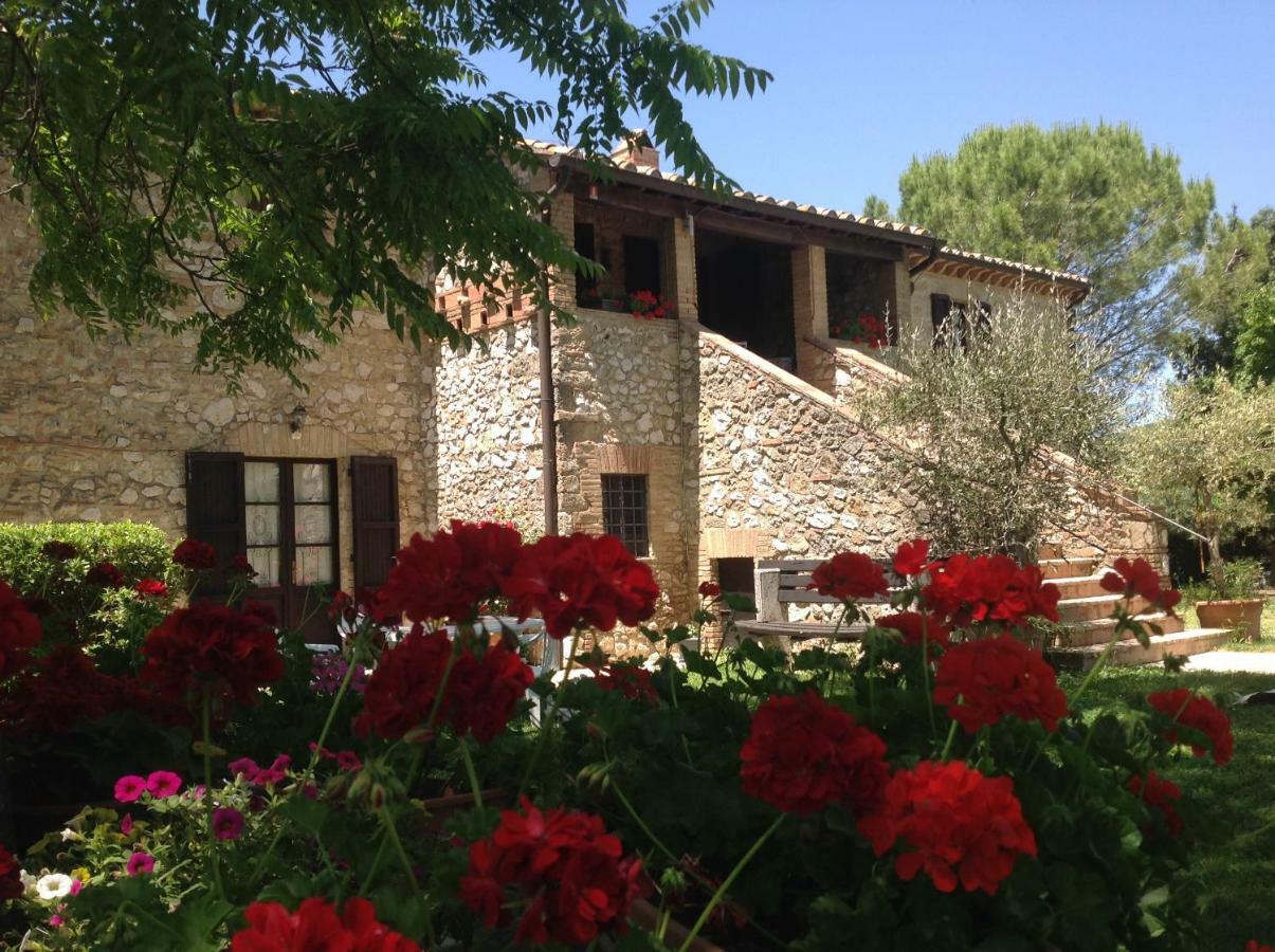 Agriturismo Podere Luchiano Amelia Exteriör bild